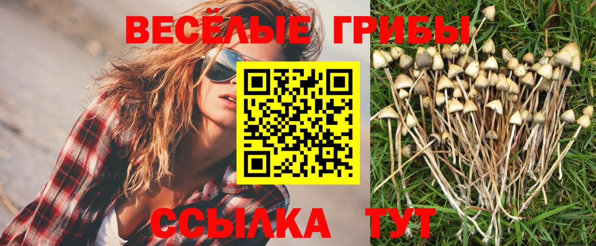 Нерюнгри  Галлюциногенные грибы MAGIC MUSHROOMS  Псилоцибиновые грибы прущие грибы  Вход с VPN 